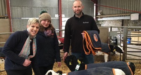 The team at AniMac web