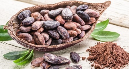 Chocolat Madagascar web