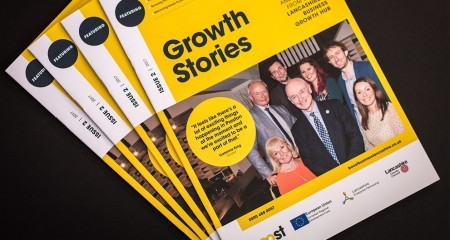 Growth Stories 2