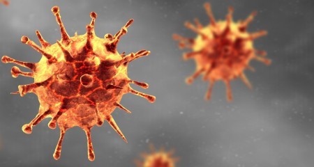 Coronavirus web