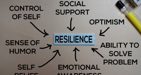 Resilience diagram BANNER scaled
