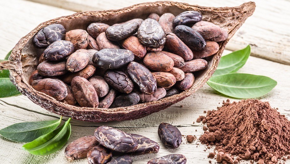 Chocolat Madagascar web