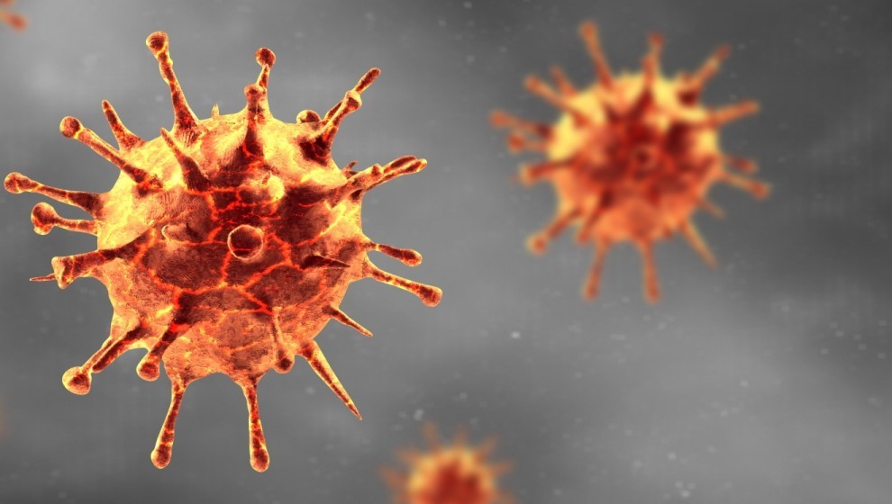 Coronavirus web