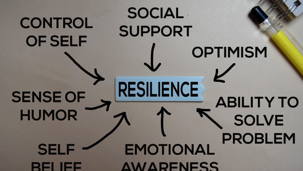 Resilience diagram BANNER scaled