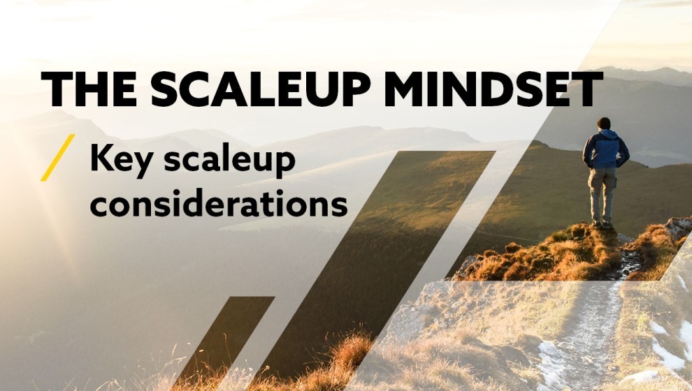 TZ_The_Scaleup_Mindset_Keu considerations for scaleups