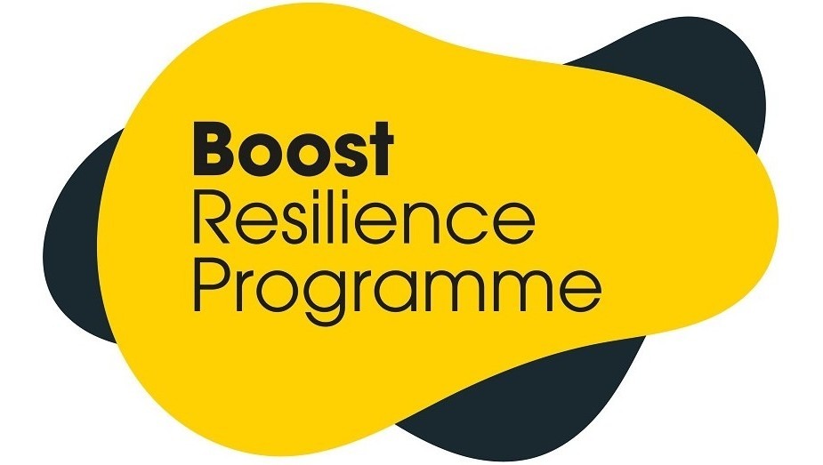 Boost Resilience web